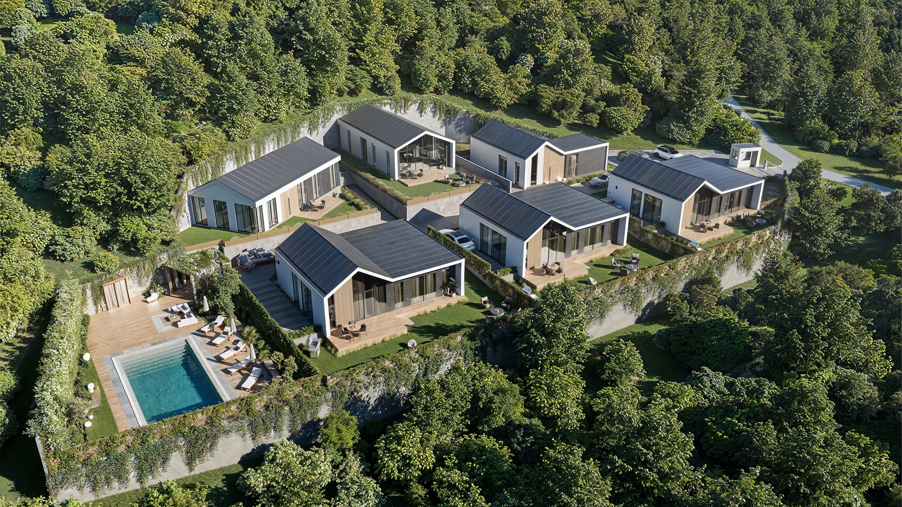 Palmetto Residence – frame 02